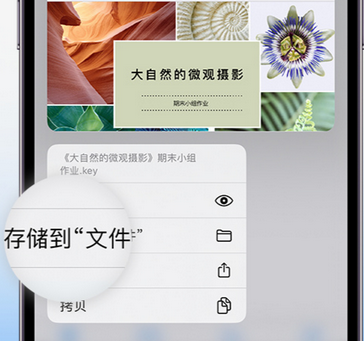 赵县apple维修中心分享iPhone文件应用中存储和找到下载文件