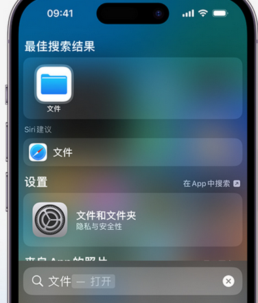 赵县apple维修中心分享iPhone文件应用中存储和找到下载文件 