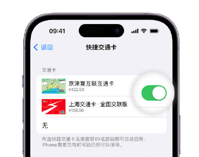 赵县apple维修点分享iPhone上更换Apple Pay快捷交通卡手绘卡面 