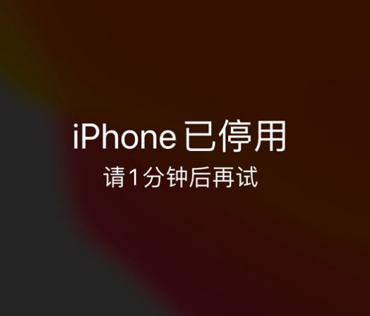 赵县苹果手机维修分享:iPhone 显示“不可用”或“已停用”怎么办？还能保留数据吗？ 