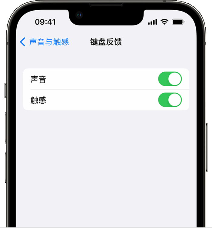 赵县苹果14维修店分享如何在 iPhone 14 机型中使用触感键盘 