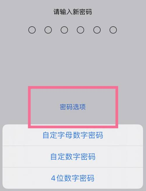 赵县苹果14维修分享iPhone 14plus设置密码的方法 