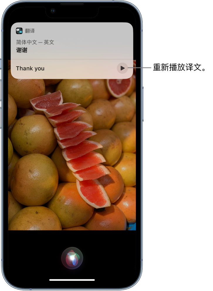 赵县苹果14维修分享 iPhone 14 机型中使用 Siri：了解 Siri 能帮你做什么 