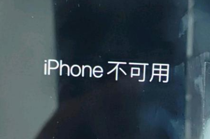 赵县苹果服务网点分享锁屏界面显示“iPhone 不可用”如何解决 