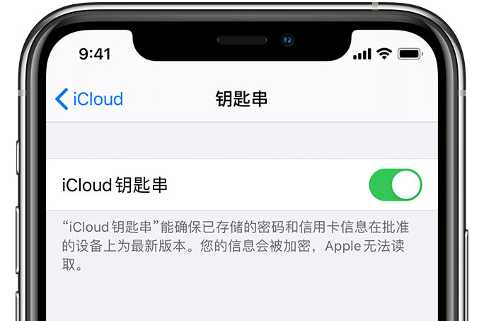 赵县苹果手机维修分享在 iPhone 上开启 iCloud 钥匙串之后会储存哪些信息 