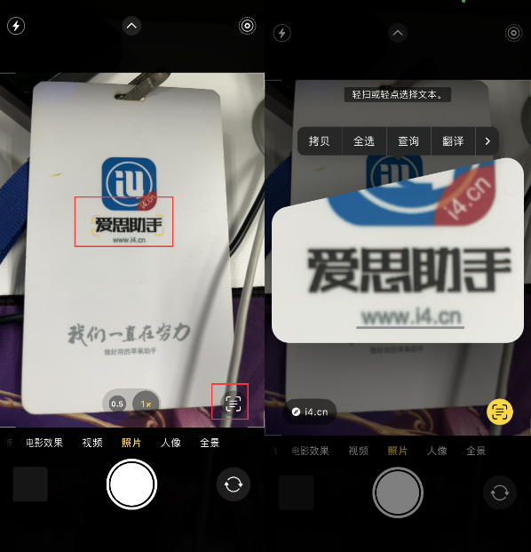 赵县苹果手机维修分享升级iOS 16后如何通过相机翻译文本 
