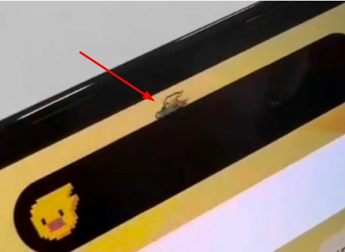 赵县苹果14维修分享iPhone 14 Pro Max灵动岛怎么养宠物 