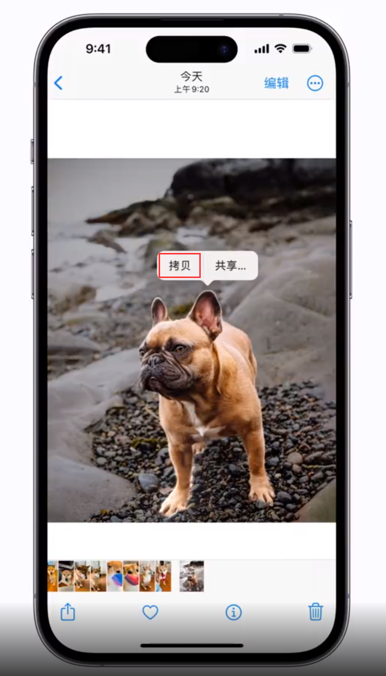 赵县苹果手机维修分享 iOS 16 自带一键抠图功能 
