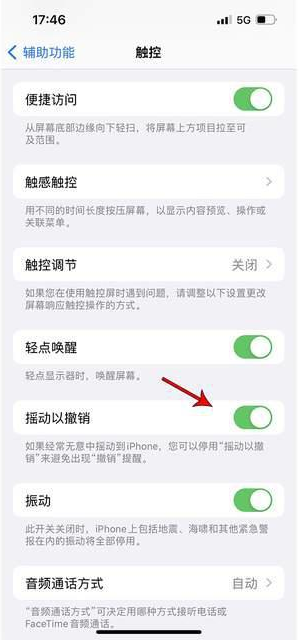 赵县苹果手机维修分享iPhone手机如何设置摇一摇删除文字 