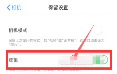 赵县苹果13维修分享iPhone13拍照有绿点是怎么回事 