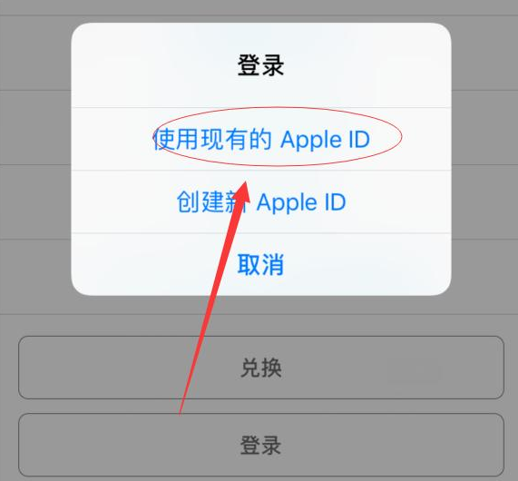 赵县苹果手机维修分享两台iPhone设备可以同时登录一个Apple ID吗 