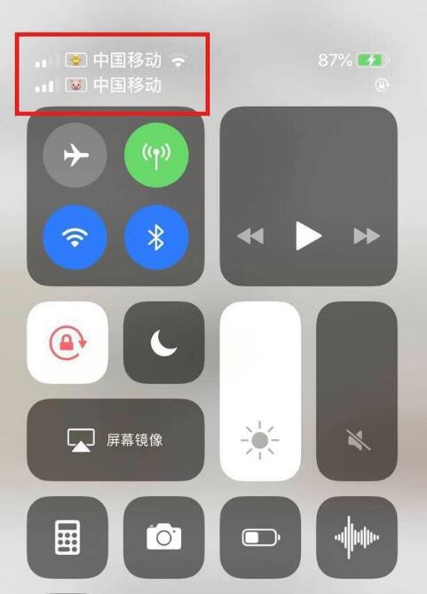 赵县苹果手机维修分享为 iPhone 12 双卡设置标签 