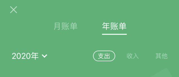 赵县苹果手机维修分享如何在 iPhone 上查看支付宝和微信年支出账单 
